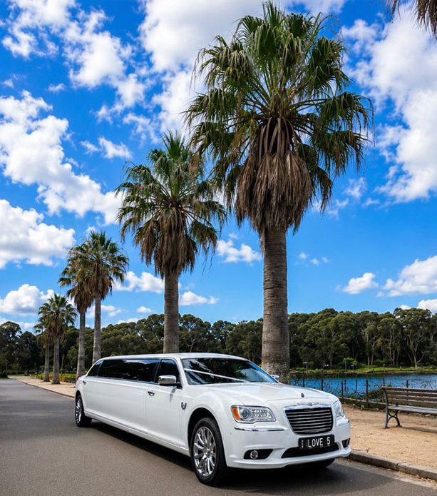 Luxury Limos & Cars Selection